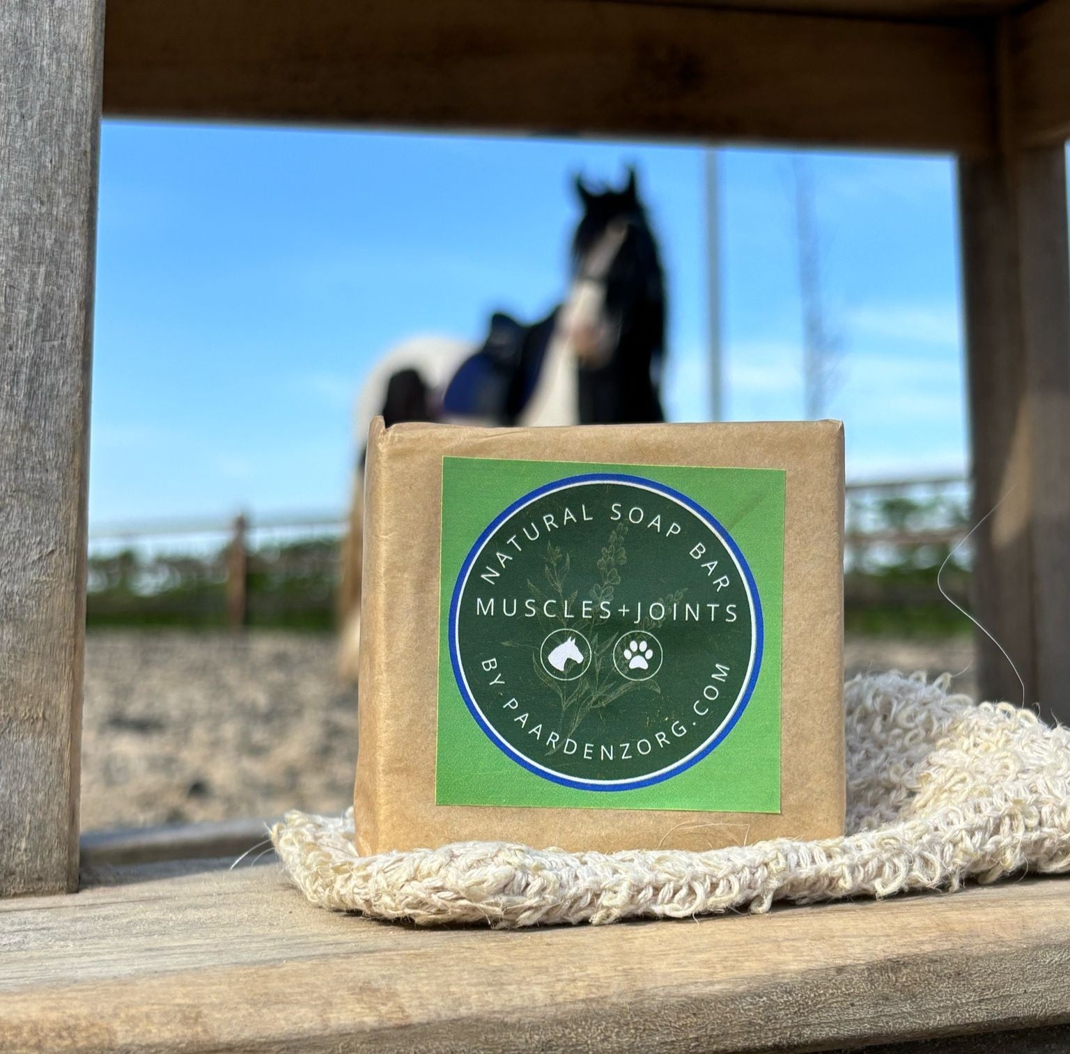 Het verborgen welzijnsritueel voor jouw paard en hond