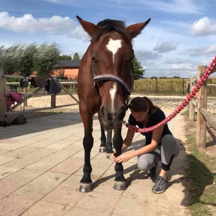 TRAUMACONSULT DIEREN