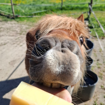 SOAPBAR Summer Care