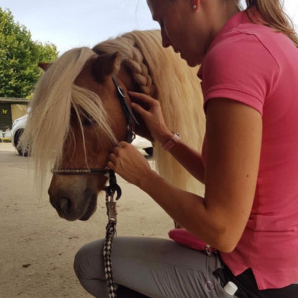 TRAUMACONSULT DIEREN