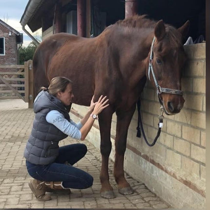 TRAUMACONSULT DIEREN