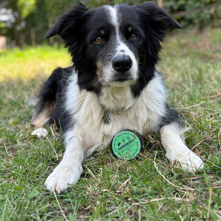 HEALING BALM (Huid - Wondcreme)