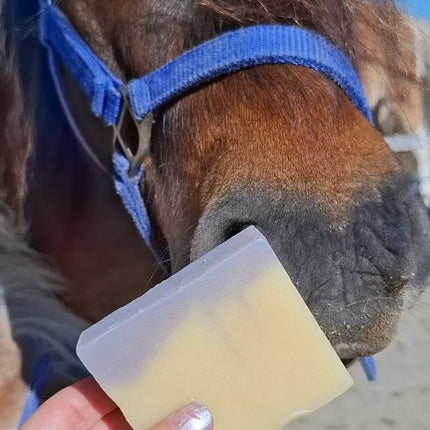 SOAPBAR Summer Care