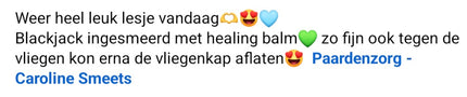 HEALING BALM (Huid - Wondcreme)