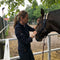 TRAUMACONSULT DIEREN