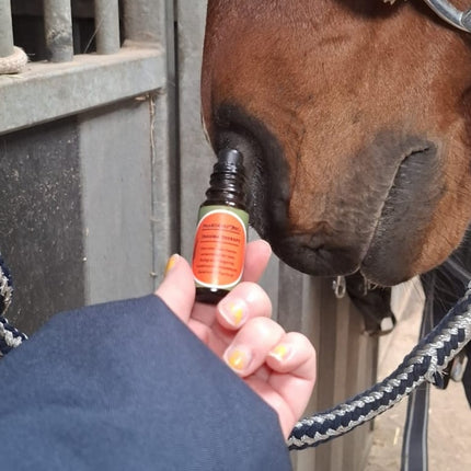 OLIEROLLER Trauma Therapy