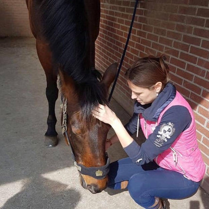 TRAUMACONSULT DIEREN