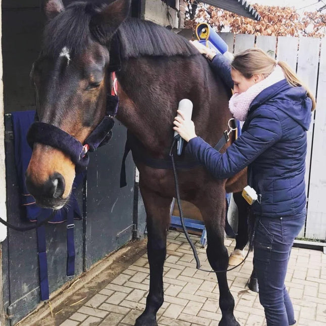 EQUISSAGE Therapie