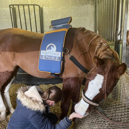 EQUISSAGE Therapie
