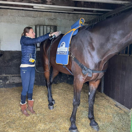 EQUISSAGE Therapie