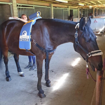 EQUISSAGE Therapie