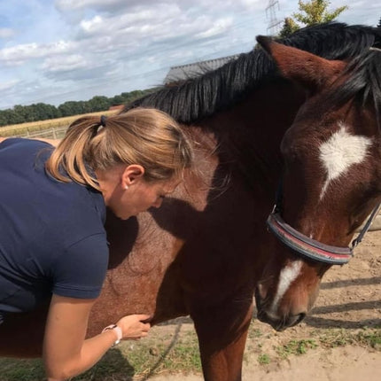 TRAUMACONSULT DIEREN