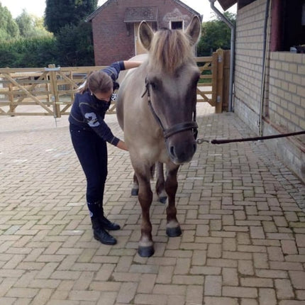 TRAUMACONSULT DIEREN